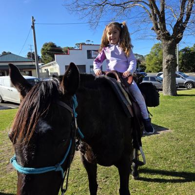 Meeting the locals at Bruthen 2